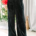 110623.In-Your-Presence-Black-Velvet-Pants.jpg